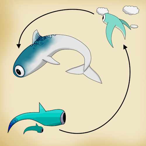 C 0169 Eyrball evolution